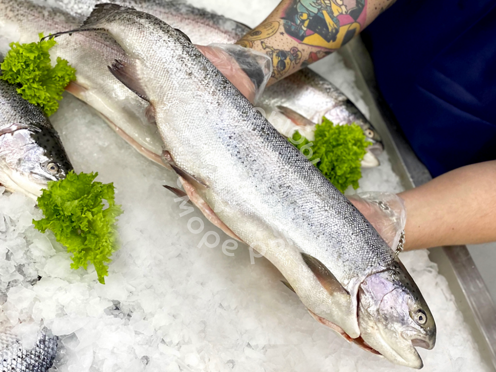 Форель Свежая Купить В Москве